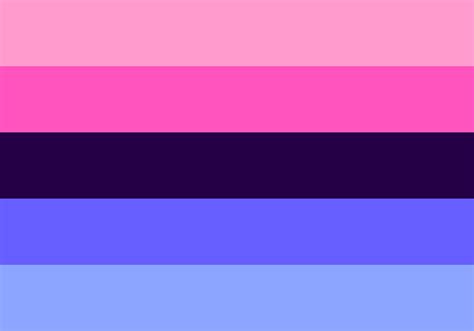 omnisexual flag meaning|Omnisexual Meaning and Advocacy